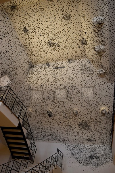 DSC_0247