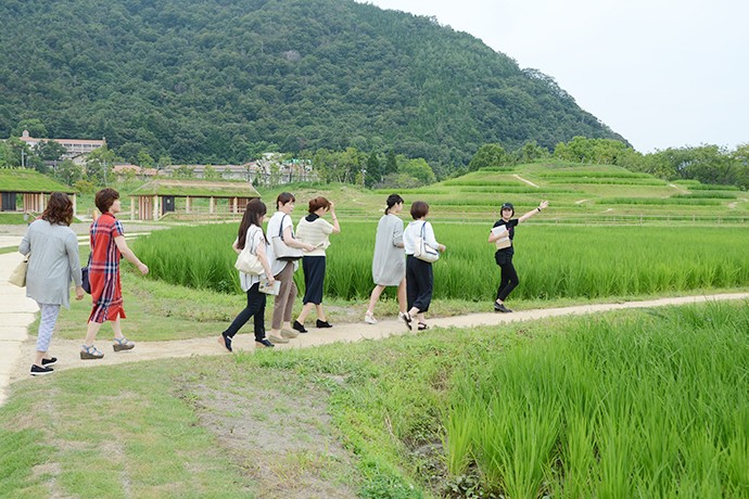 tDSC_4492
