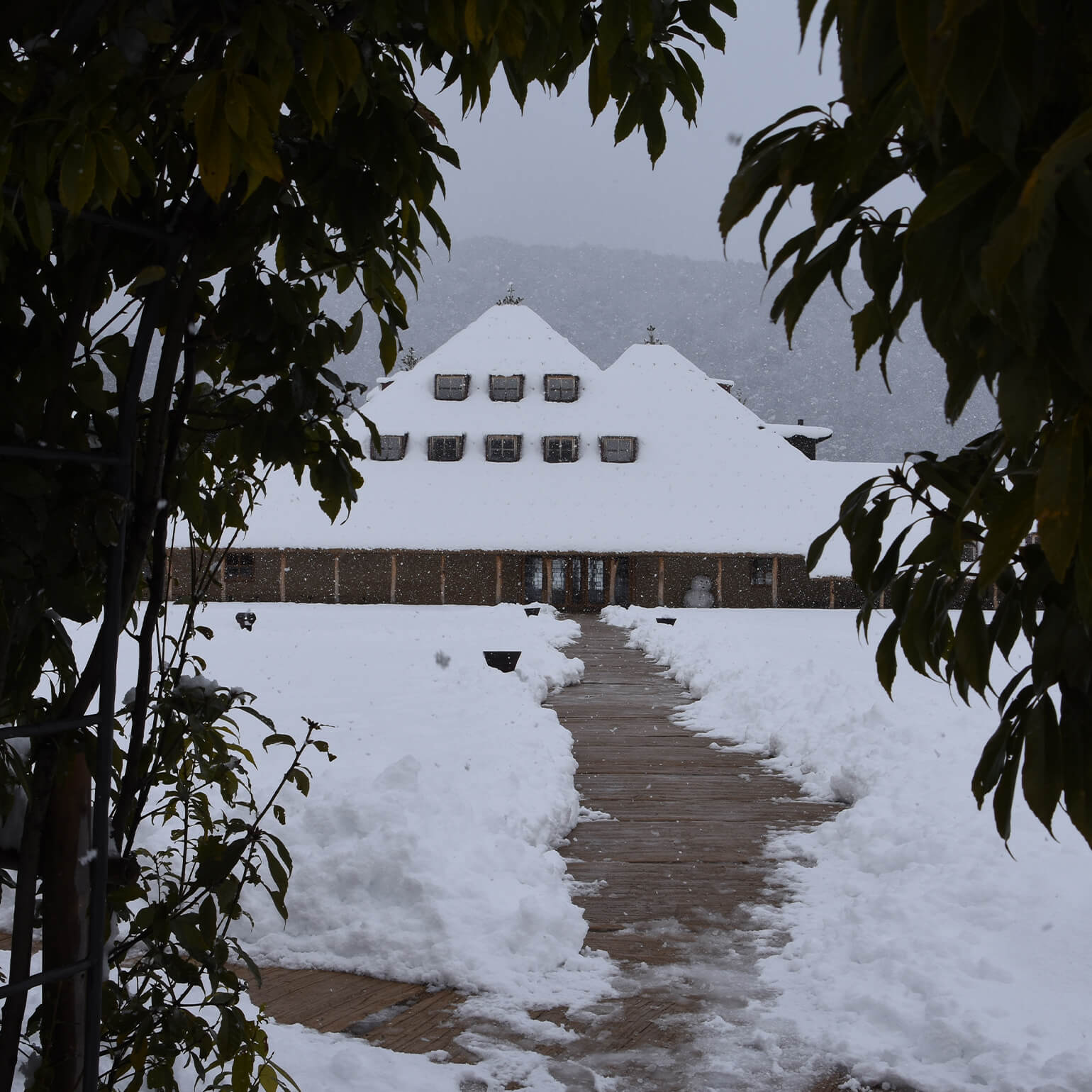 たねやの二十四節気：雪屋根