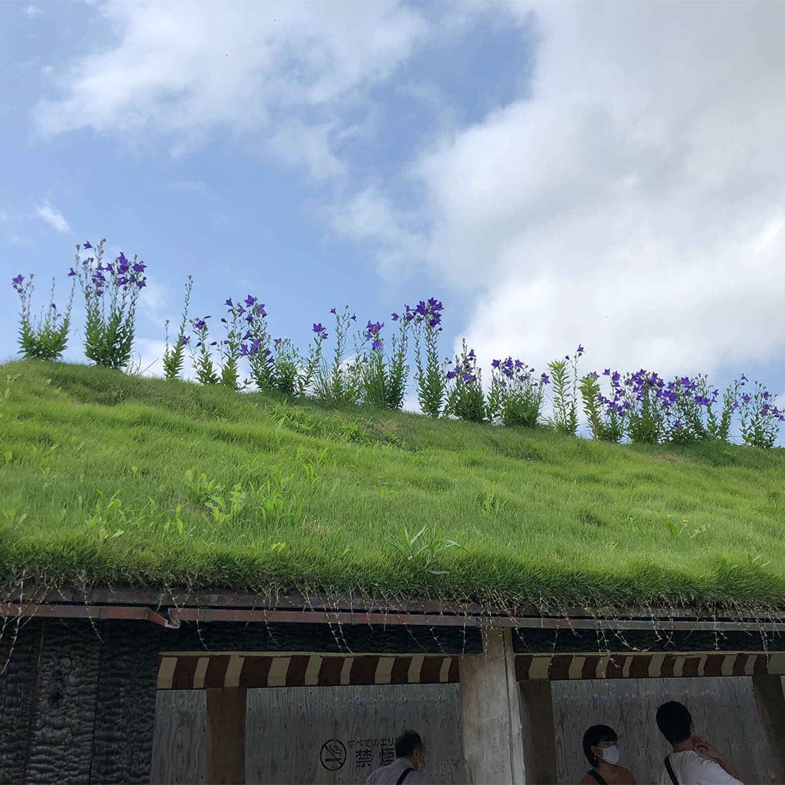 たねやの二十四節気：草回廊
