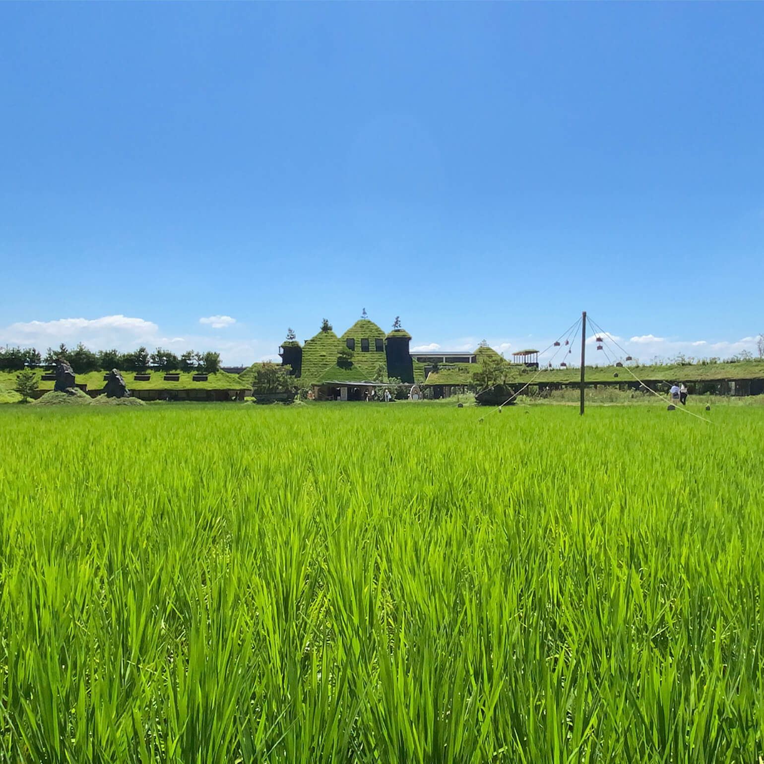 たねやの二十四節気：しげる