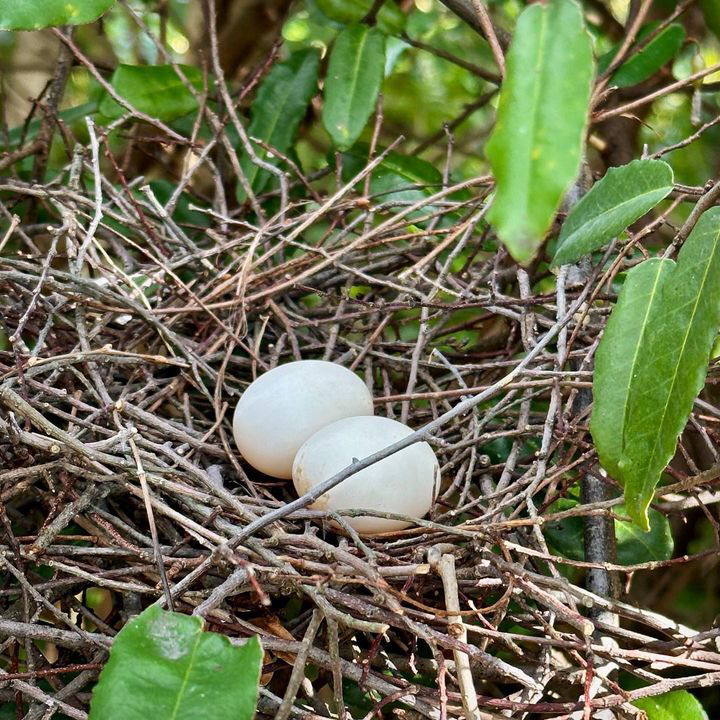 入り口付近