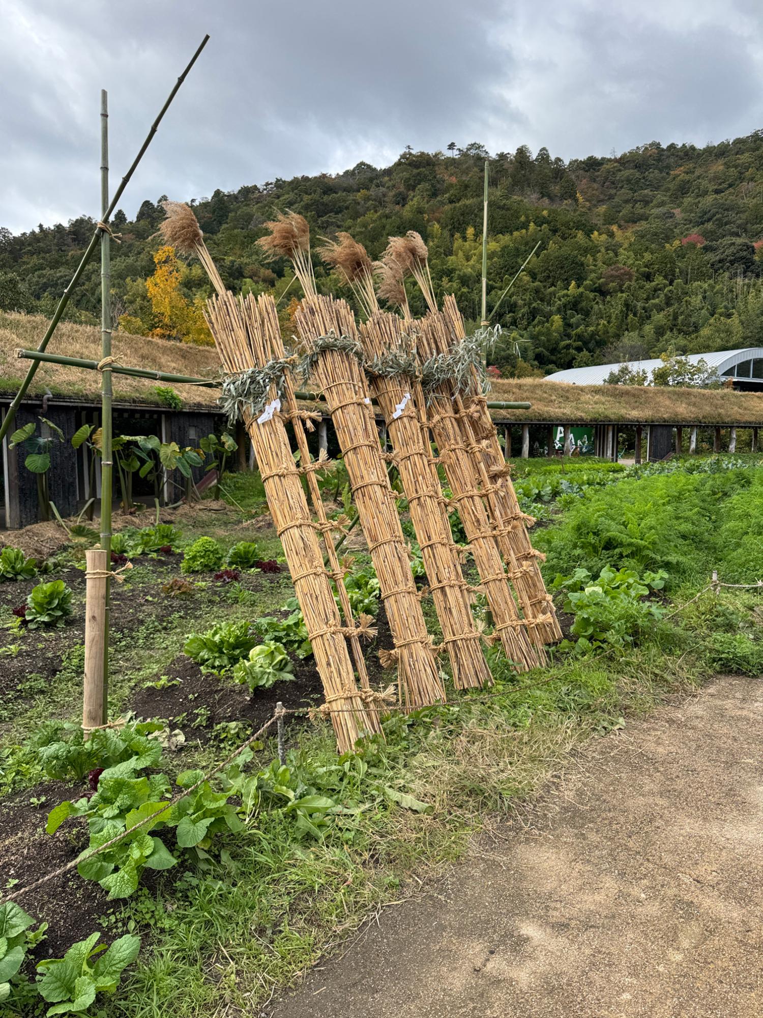 回廊