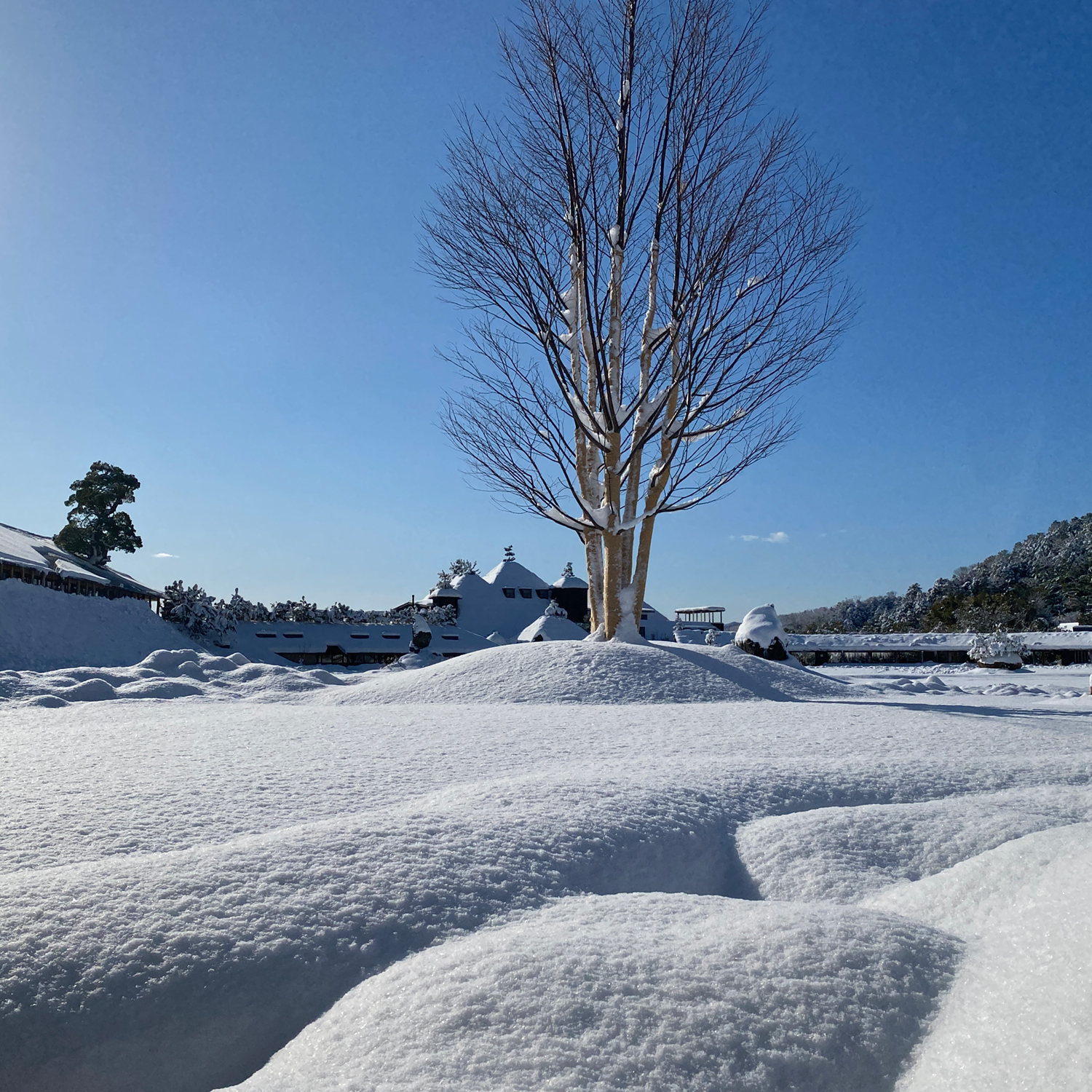 雪景色