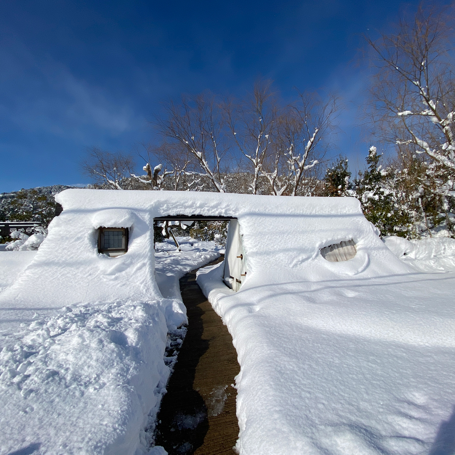雪景色
