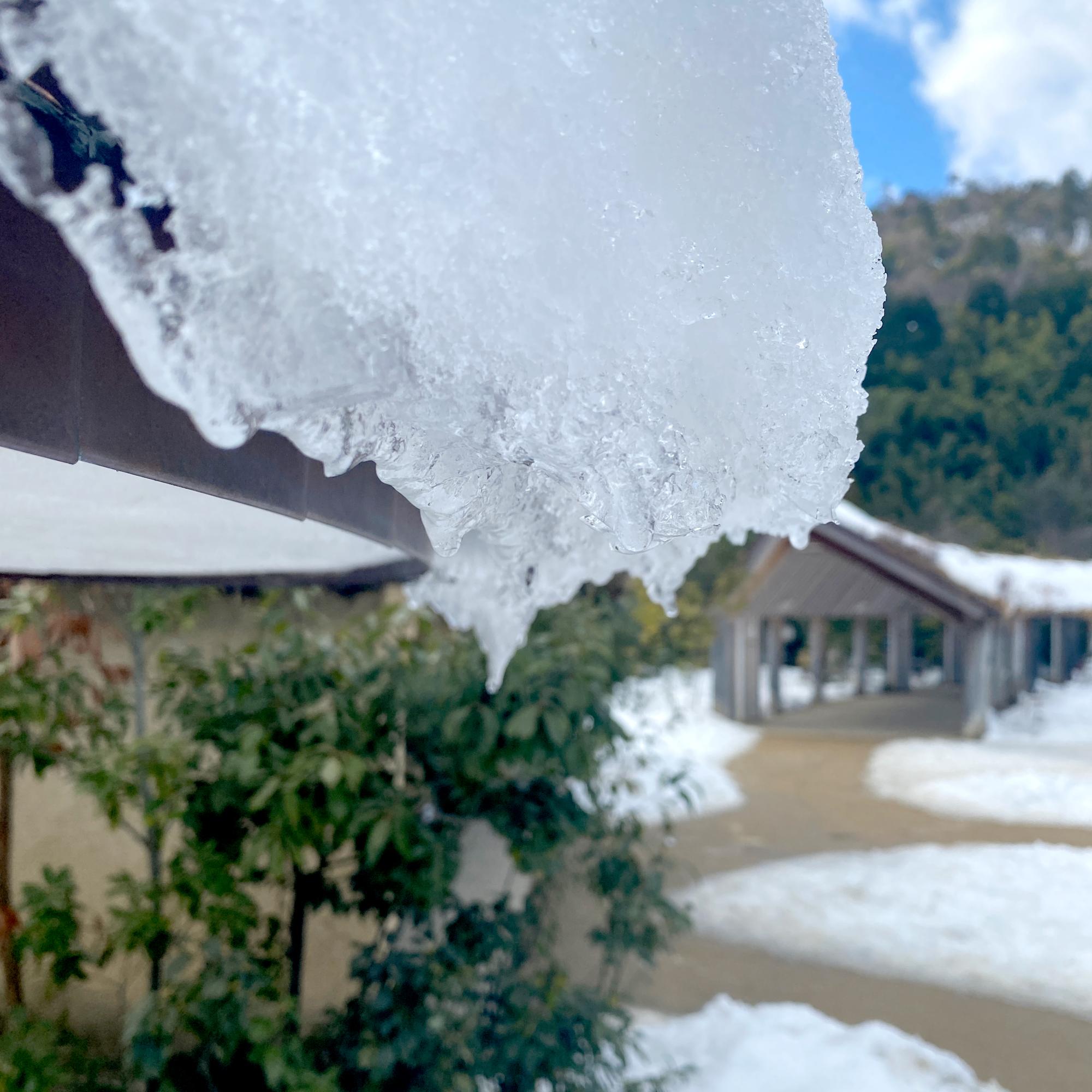 雪景色