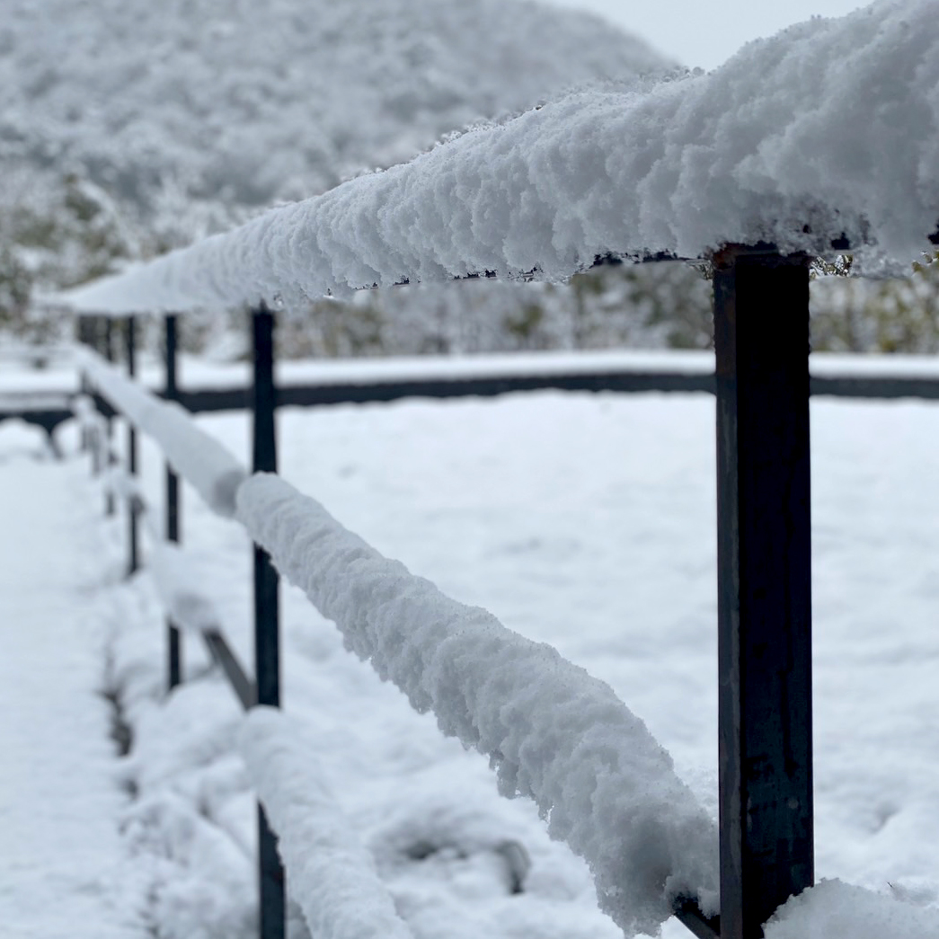 雪景色