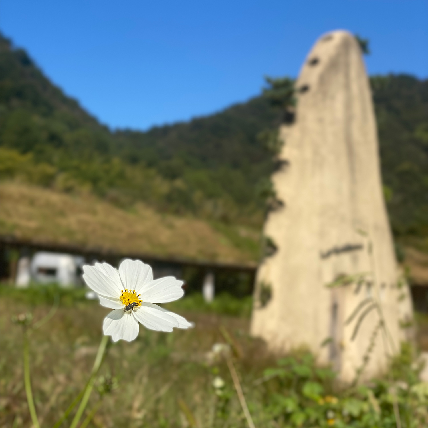 土塔