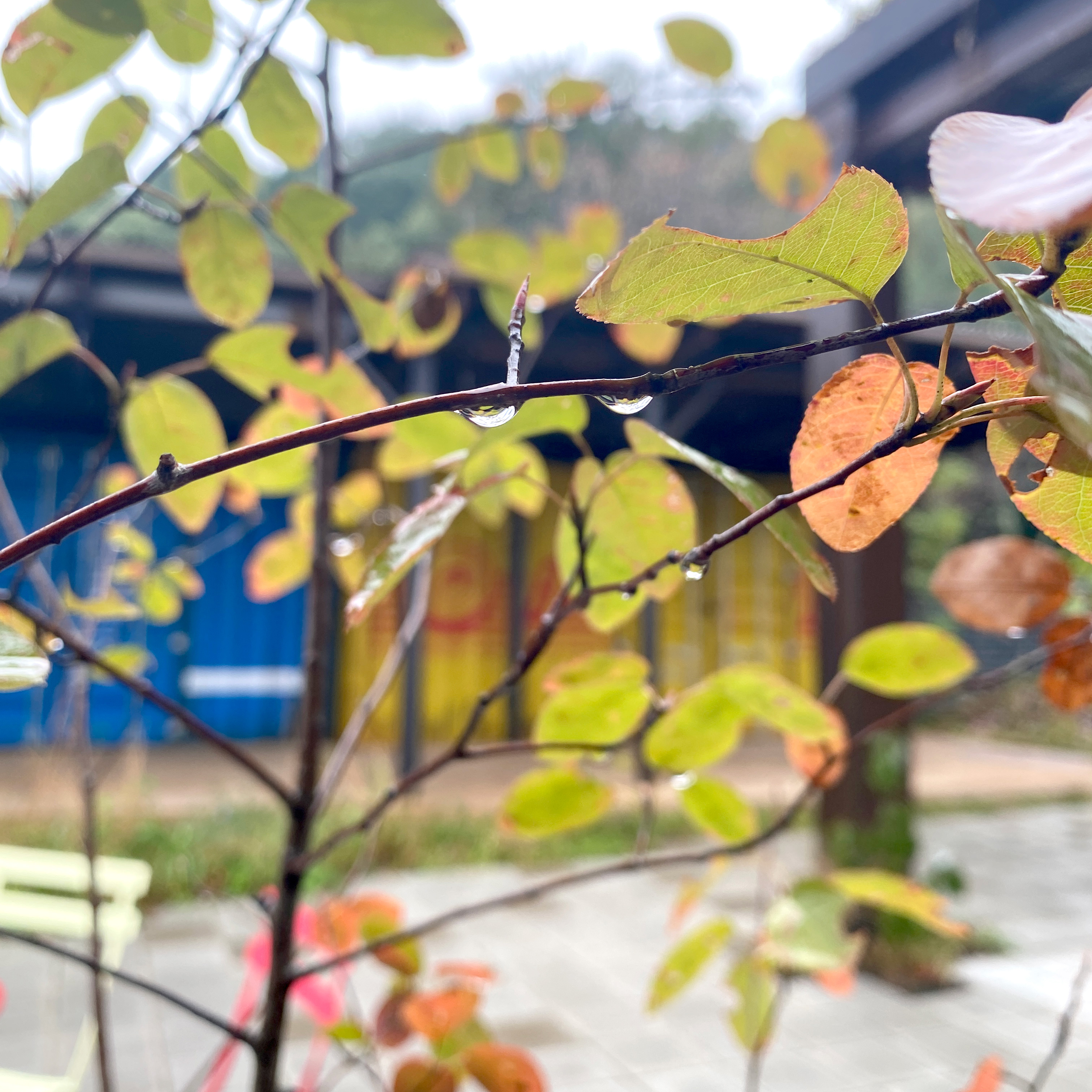 雨の日のラ コリーナ