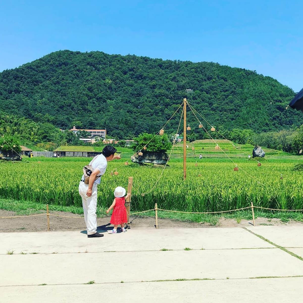 秋の音